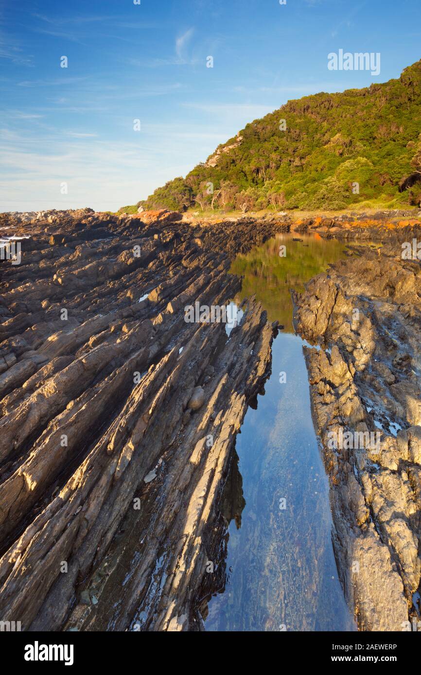 La costa rocosa de la sección de Tsitsikamma National Park Garden Route, en Sudáfrica. Foto de stock