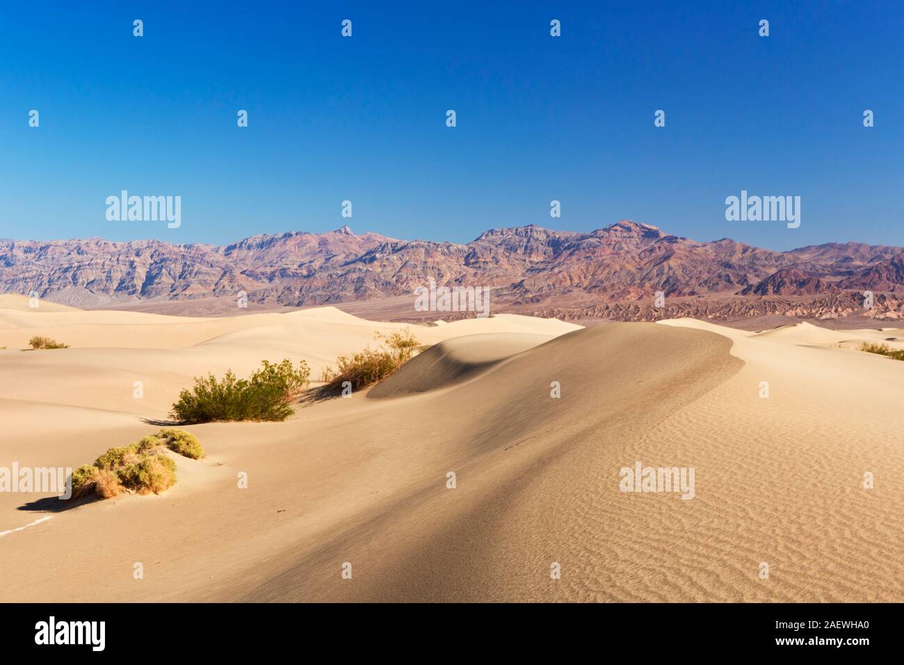 El Mesquite Flat dunas de arena en el Parque Nacional Valle de la Muerte, California, Estados Unidos. Foto de stock