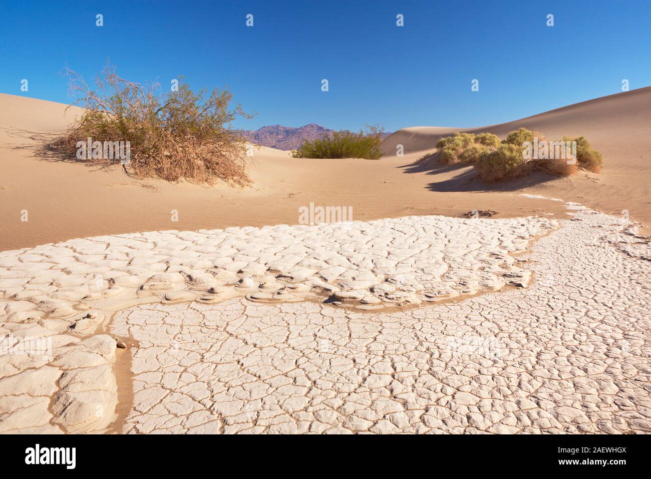 El Mesquite Flat dunas de arena en el Parque Nacional Valle de la Muerte, California, Estados Unidos. Foto de stock