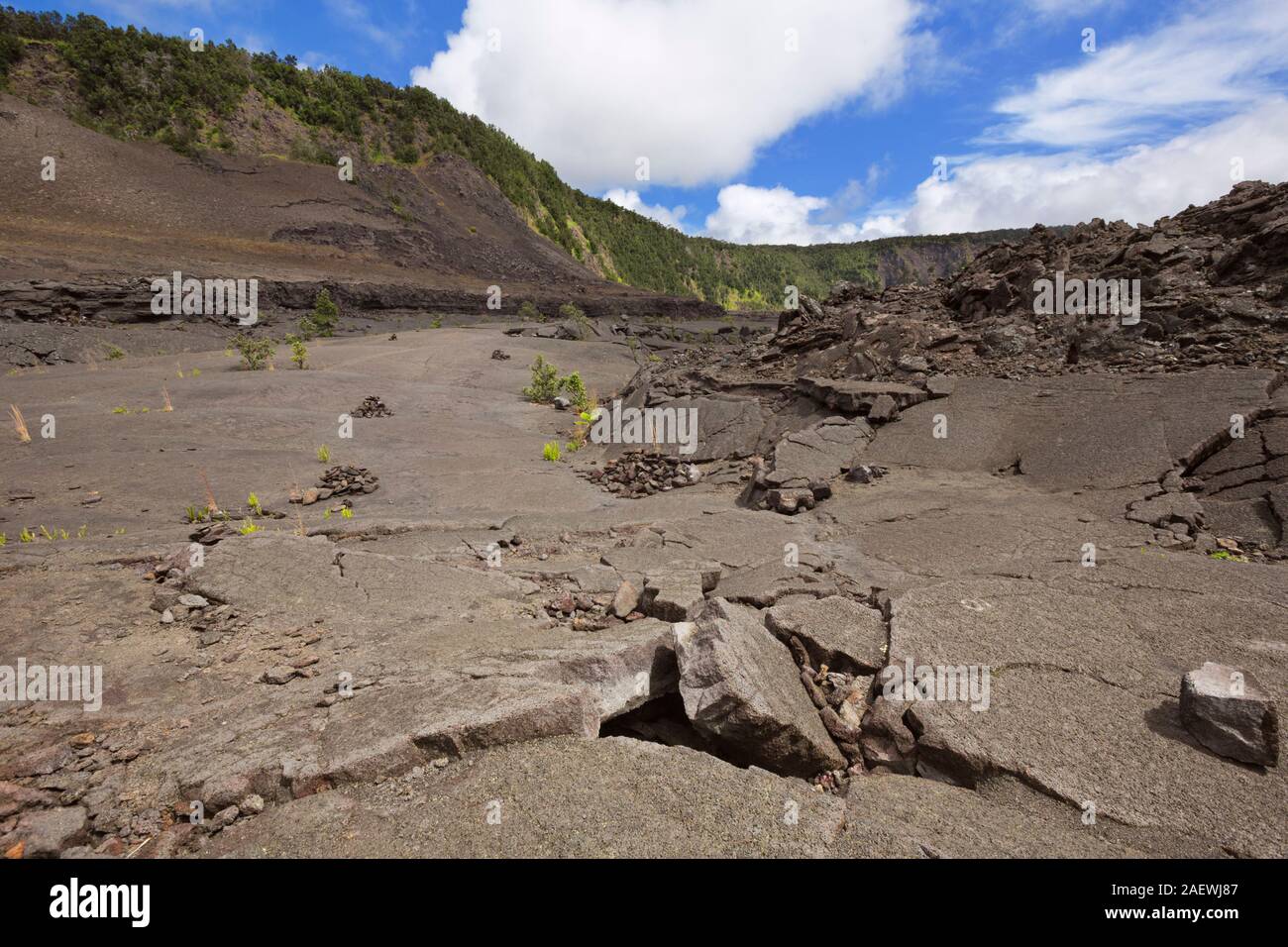 El piso del cráter del volcán Kilauea Iki cráter en el Parque Nacional de Los Volcanes de Isla Grande de Hawaii, EE.UU. Foto de stock