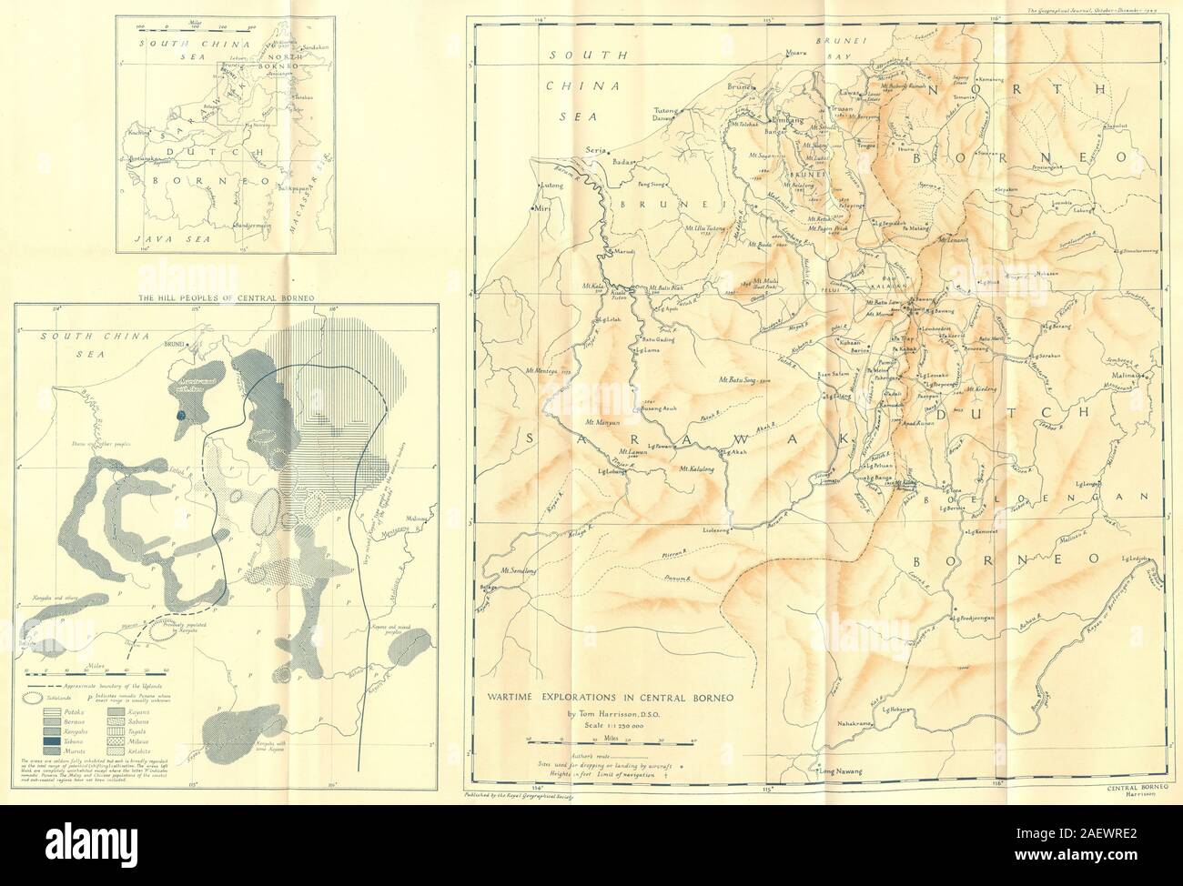 BORNEO. Exploraciones de guerra en Centroamérica 1949 vintage antiguo plan mapa gráfico Foto de stock