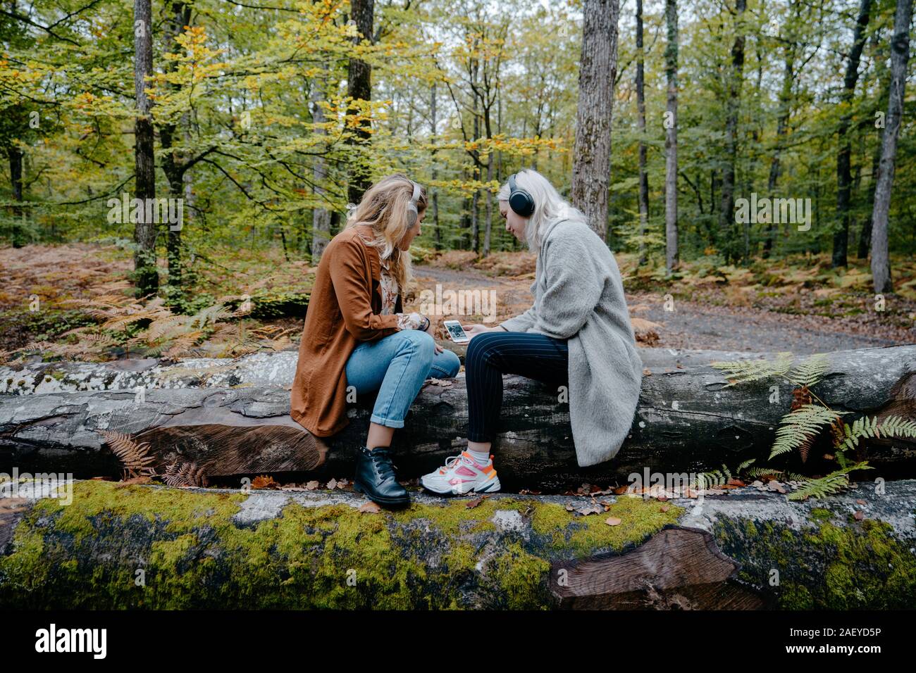 Las mujeres jóvenes a través de teléfono móvil y el auricular en un bosque remoto Foto de stock