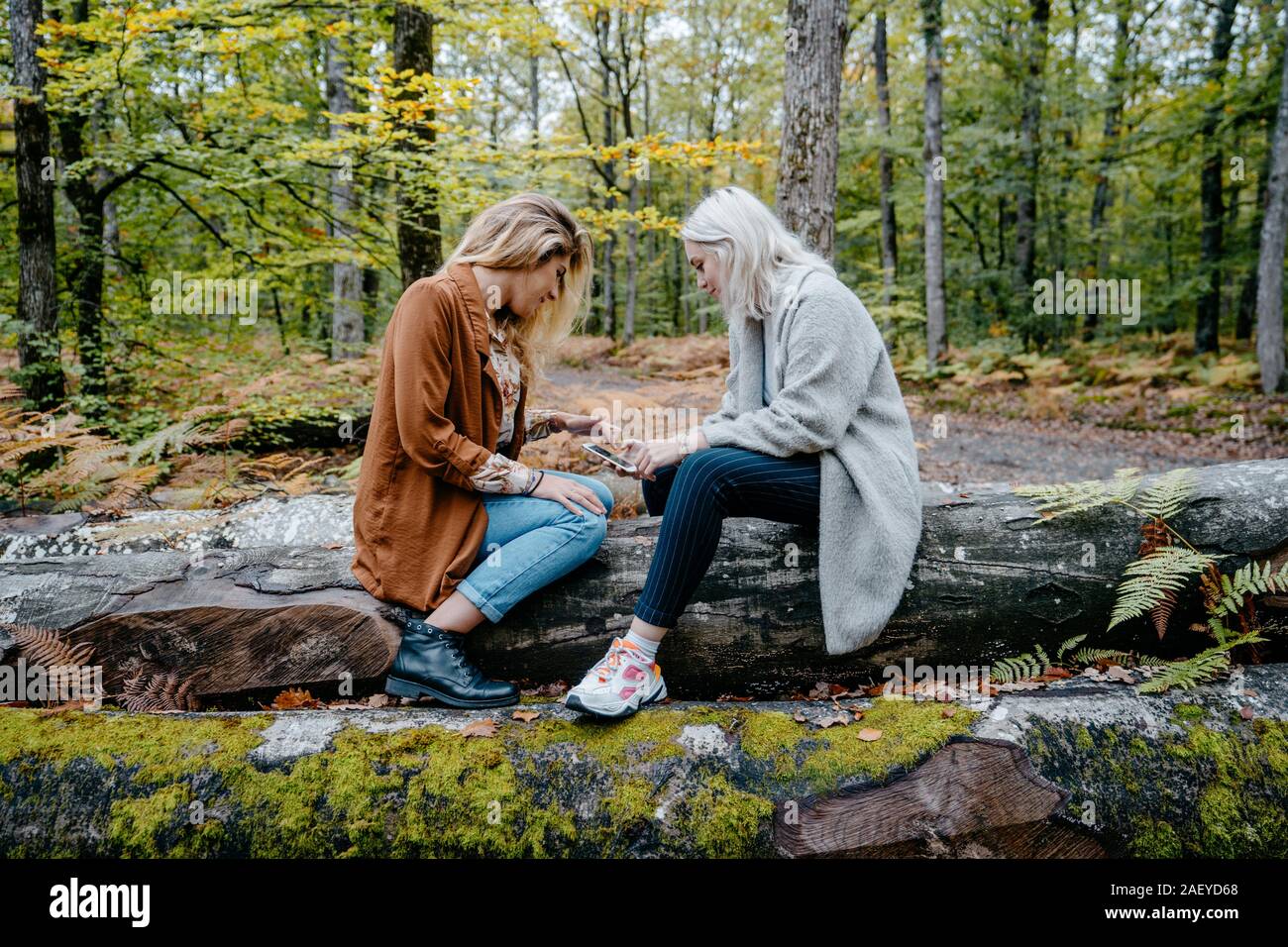 Las mujeres que usan un teléfono móvil en un bosque remoto Foto de stock