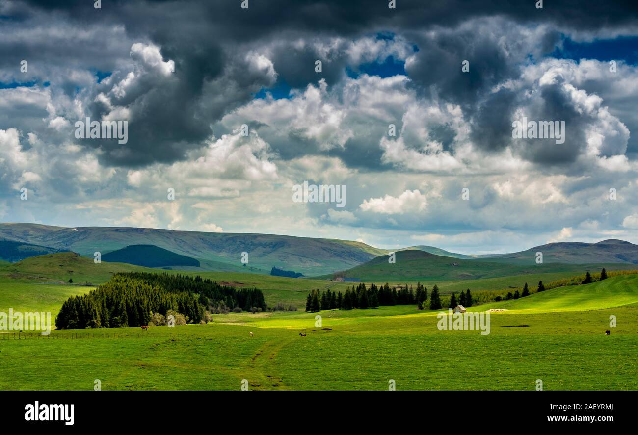 Las montañas y las colinas del paisaje Cezallier Foto de stock
