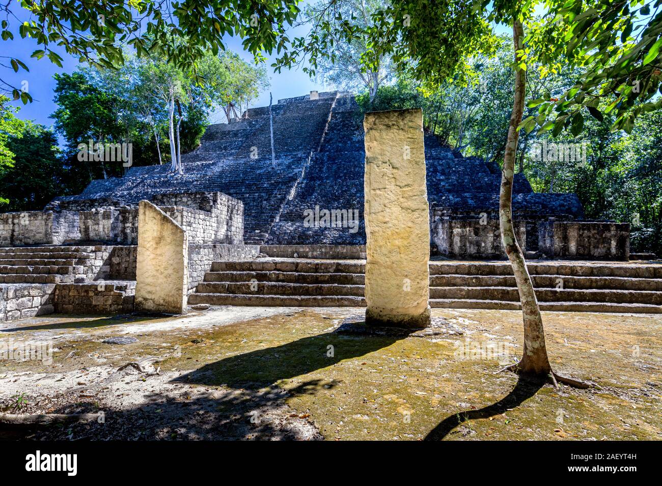 Pirámide y estelas en el sitio arqueológico de Calakmul en Campeche, México. Foto de stock
