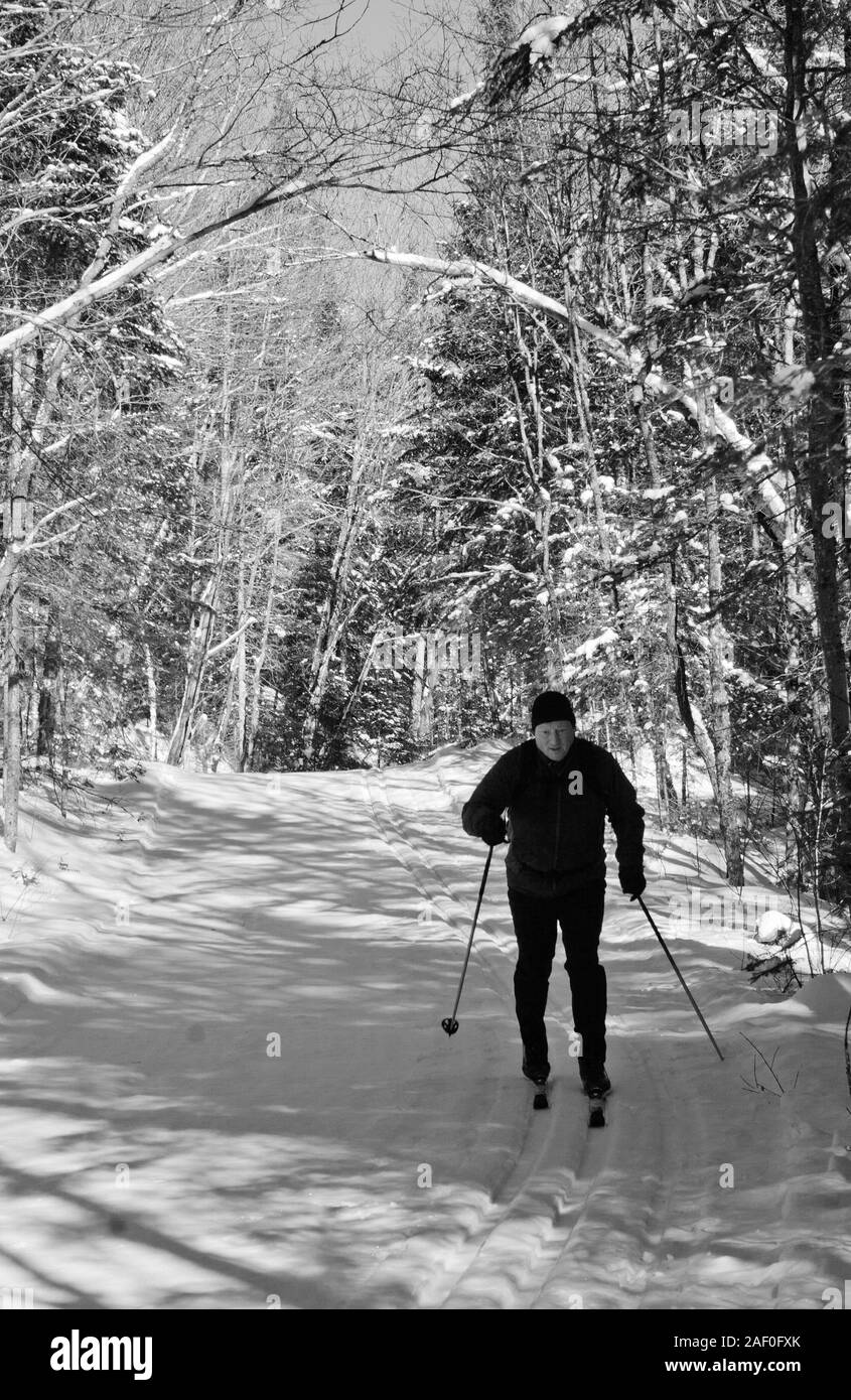 Un hombre jubilado de esquí cubierto de nieve en un camino a través del bosque en el Algonquin Park Foto de stock