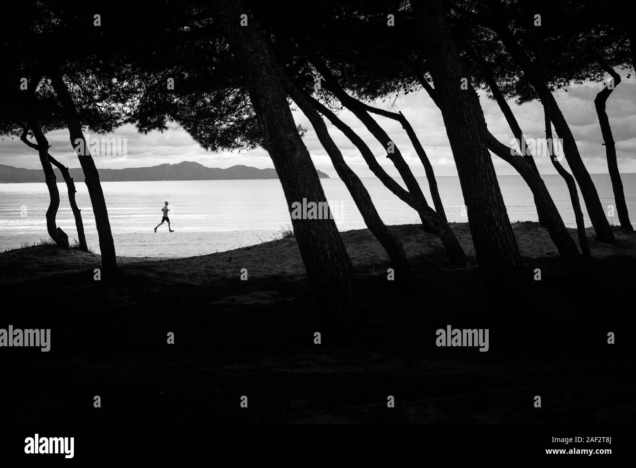 Silueta de runner corriendo en la playa. Silueta de árboles delante de la foto. Editar espacio Foto de stock