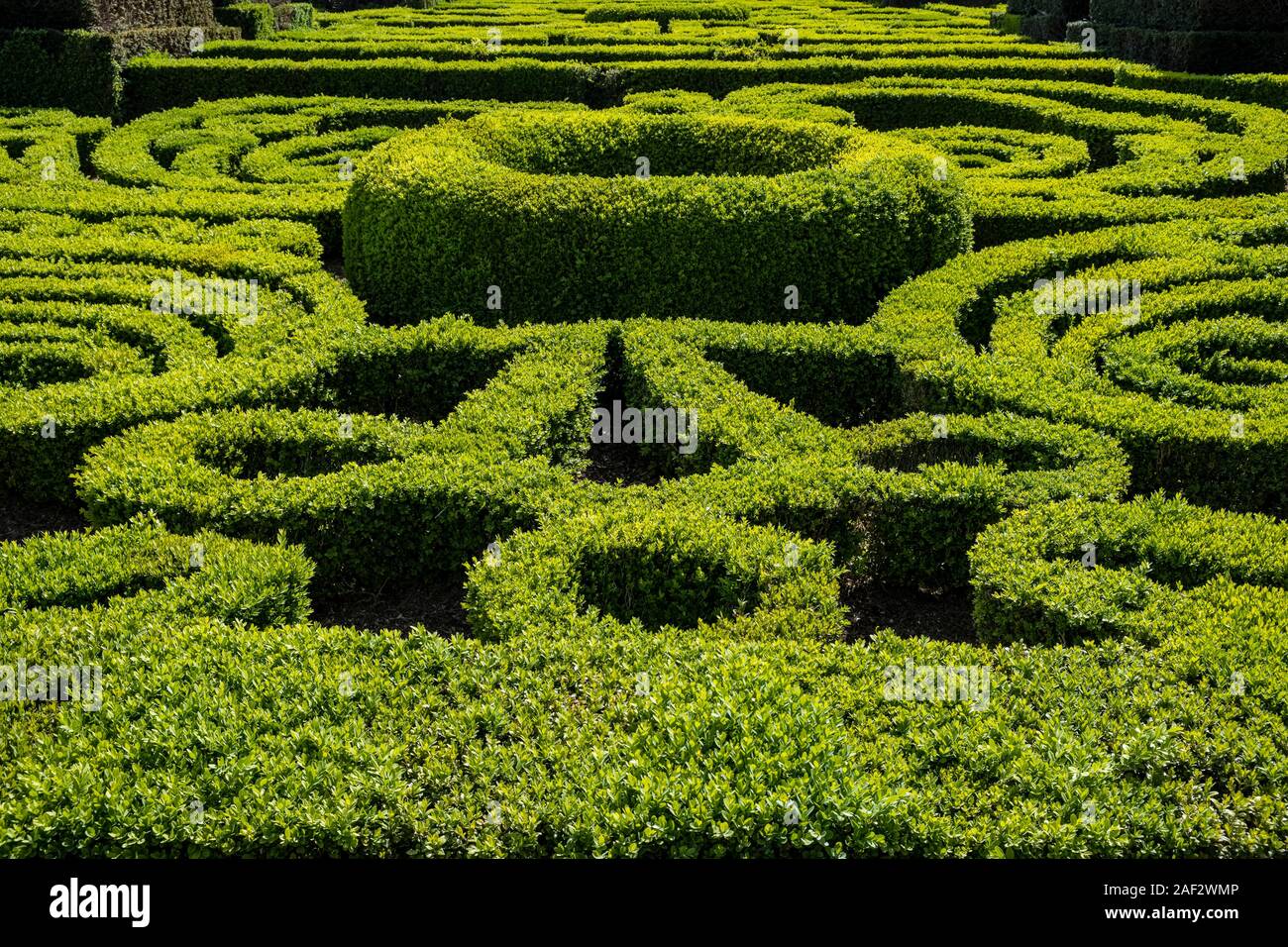 Los setos recortados en el hermoso jardín de la Villa Lante Foto de stock