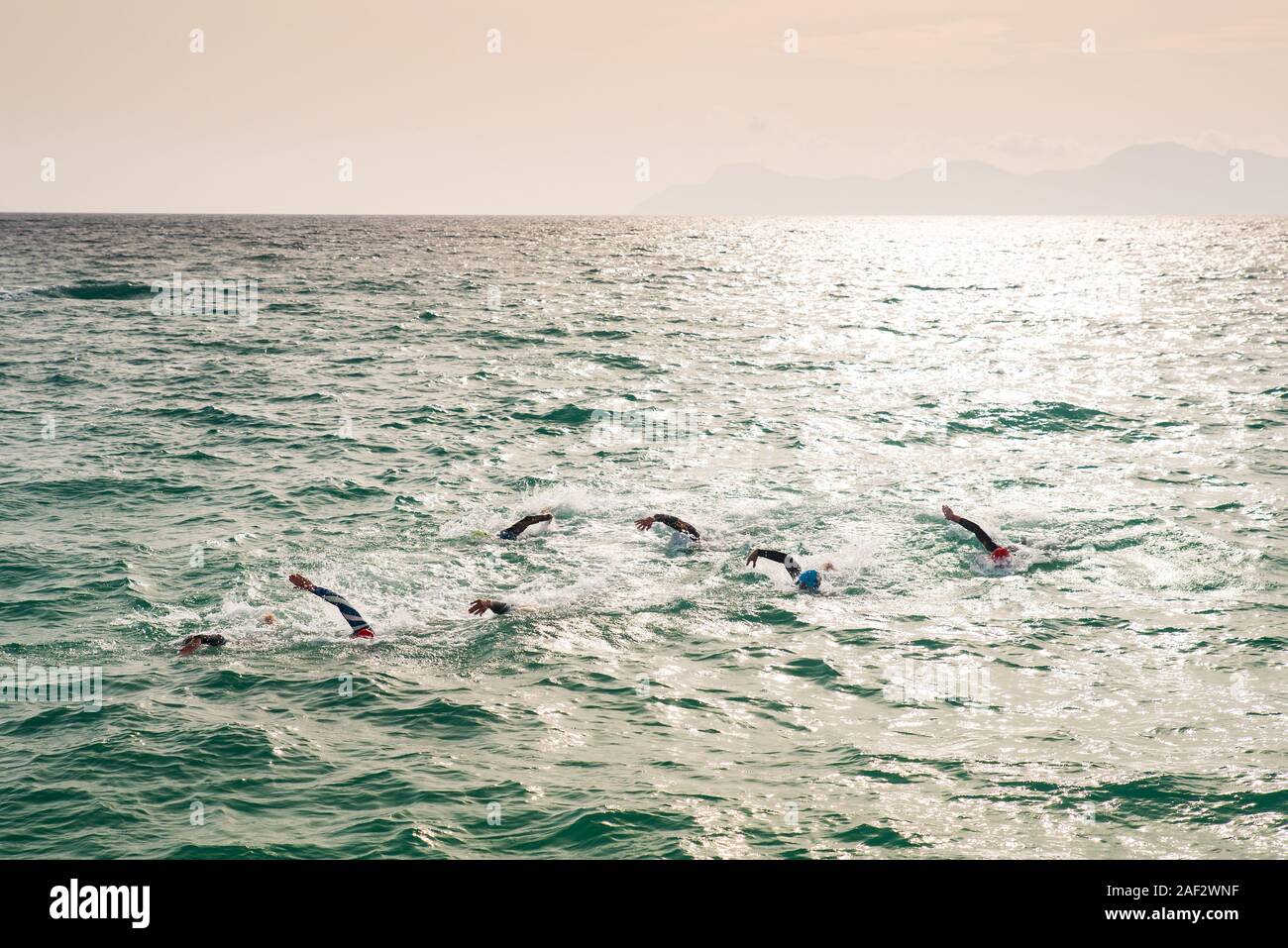 Los nadadores entrenan triatlón en aguas abiertas en el mar. Mallorca, España Foto de stock