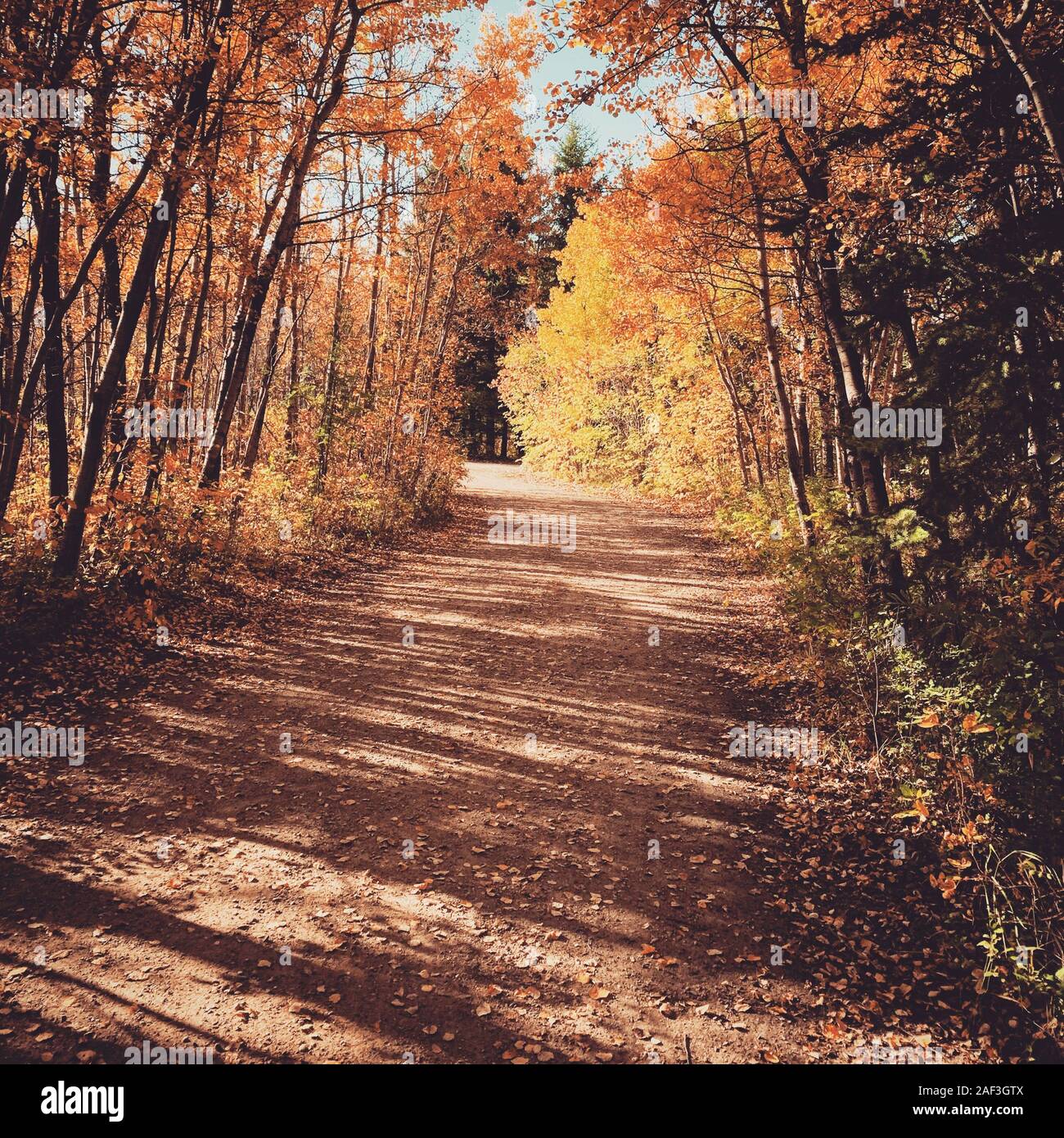 Hermoso paisaje de otoño con las hojas de color con una valla de madera y stream Foto de stock