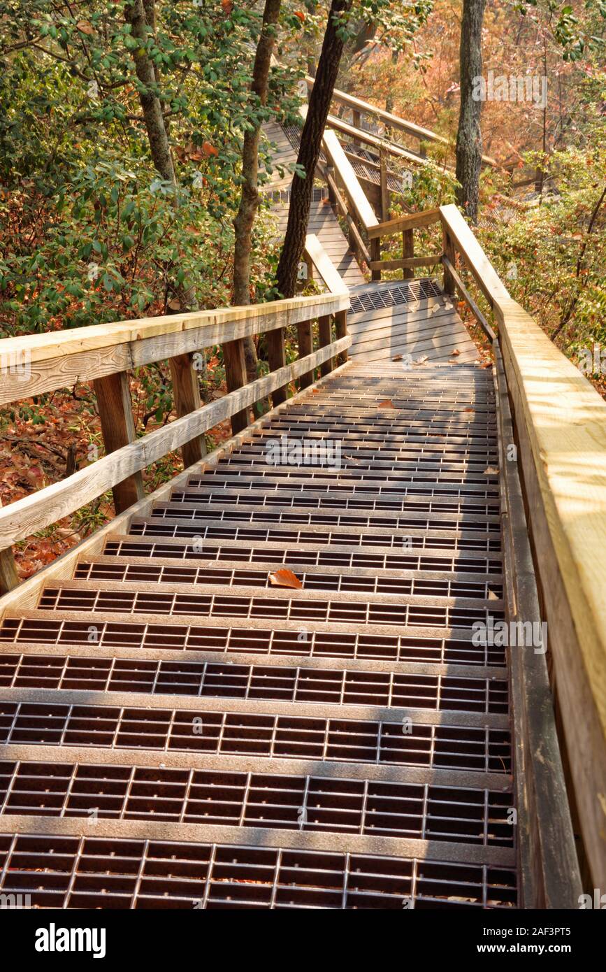 Tallulah Gorge State Park en Tallulah Falls Georgia proporciona una serie de pasos elevados de madera para excursionistas para disfrutar de todas las vistas. Foto de stock