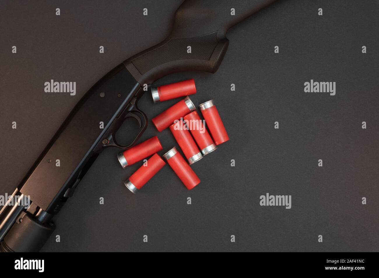 Escopeta de calibre 12 fotografías e imágenes de alta resolución - Alamy