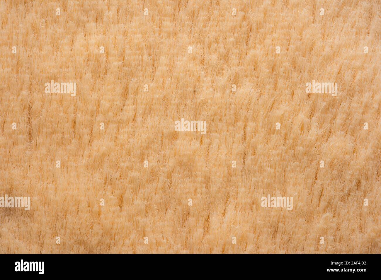 Piel falsa textura de fondo de cierre Foto de stock