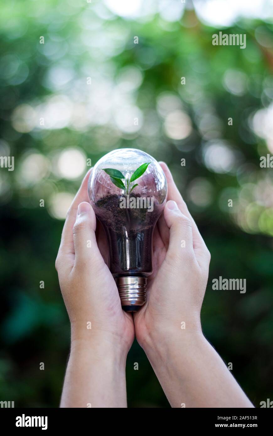 La protección del medio ambiente de creatividad en el día de la tierra o el  concepto de ahorro de energía y el medio ambiente Fotografía de stock -  Alamy