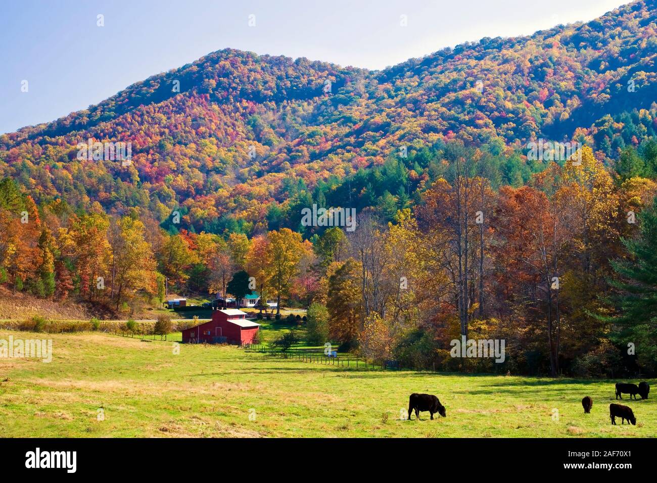 Una vista de otoño de las tierras de cultivo en el Bosque Nacional Nantahala, Carolina del Norte, Estados Unidos. Foto de stock