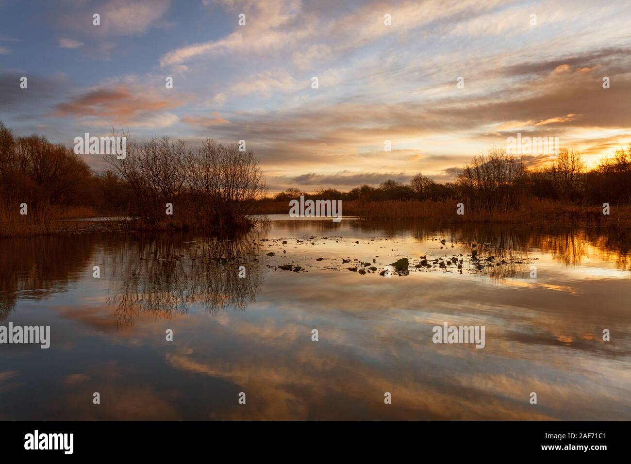 Barton-upon-Humber, Norte de Lincolnshire, Reino Unido. El 13 de diciembre de 2019. El clima del Reino Unido: una reserva natural al amanecer en una mañana de invierno en diciembre. Crédito: LEE BEEL/Alamy Live News. Foto de stock