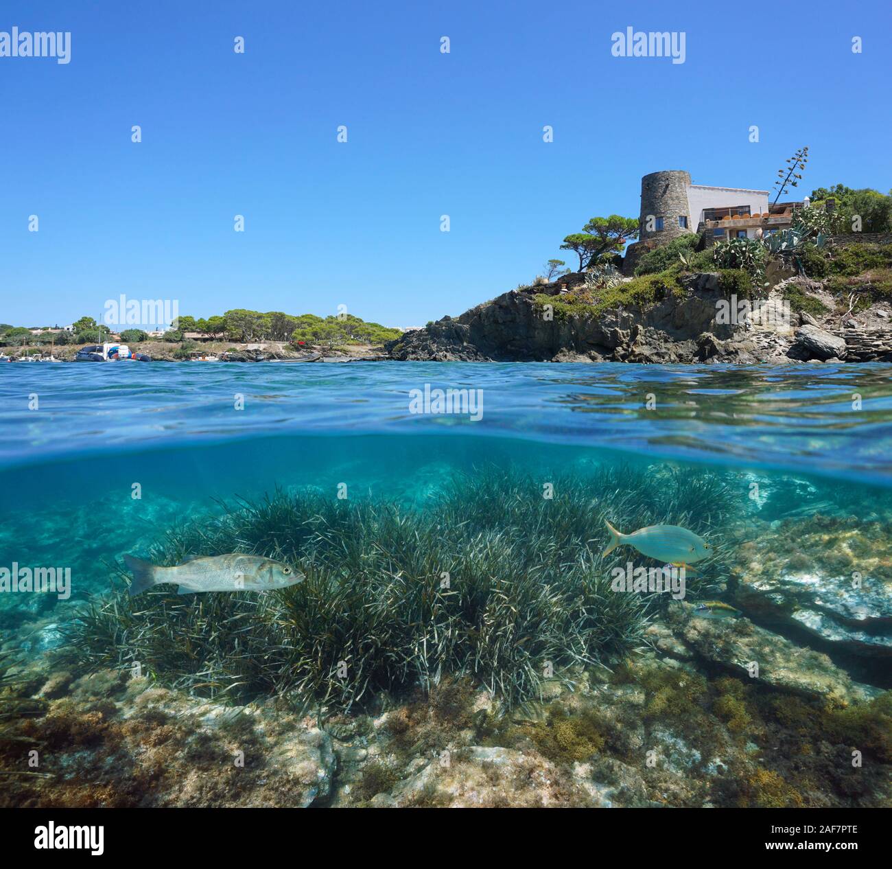España costa mediterránea con una casa en Cadaqués y lechos marinos con peces mar subacuáticos, vista dividida por encima y por debajo de la superficie del agua, Costa Brava Foto de stock