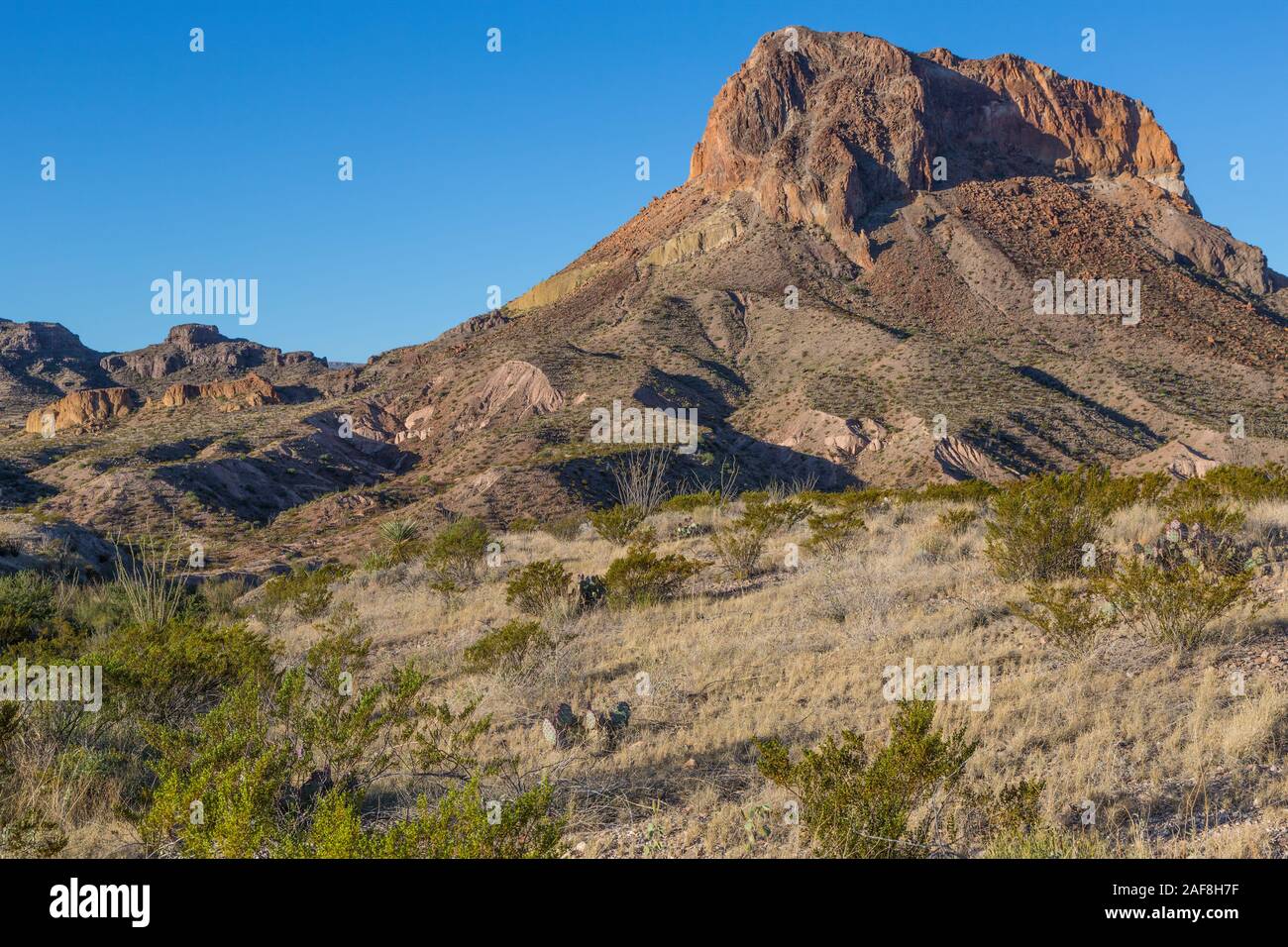 Cerro (castellano) cerca de Toba Castolon Pico Canyon, Ross Maxwell Scenic Drive, el Parque Nacional de Big Bend, Texas. Foto de stock