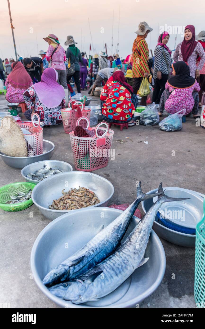 Camboya, Kampot. Cham fisher folk que vende pescado en el mercado de pescado de Kampot. Foto de stock