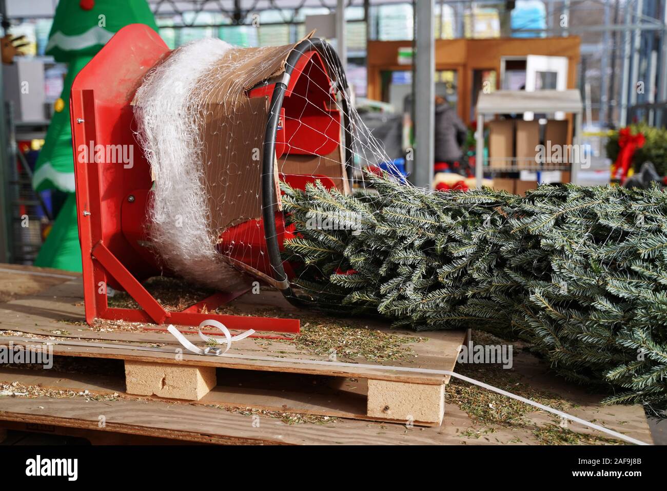 Árbol de Navidad se giró y compensada en la ferretería para permitir su fácil transporte en automóvil a casa para las vacaciones. Foto de stock