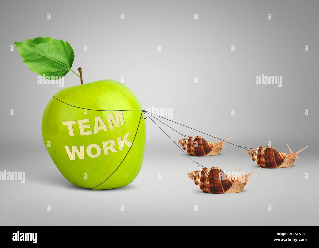 Concepto de trabajo en equipo, grupo de caracoles tirando de apple Foto de stock