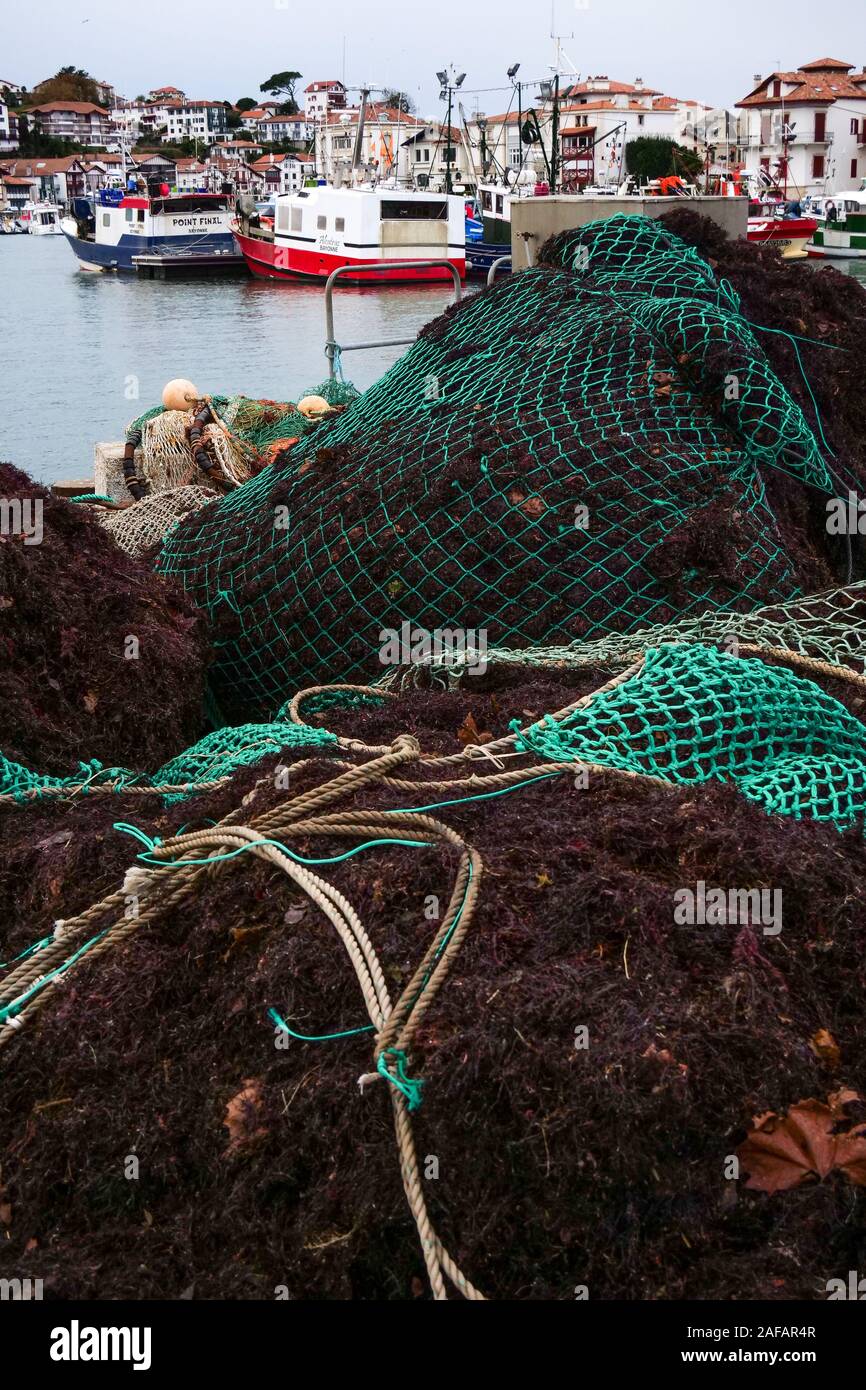 Redes de Pesca lleno de algas rojas, Saint-Jean de Luz, Pirineos Atlánticos, Francia Foto de stock