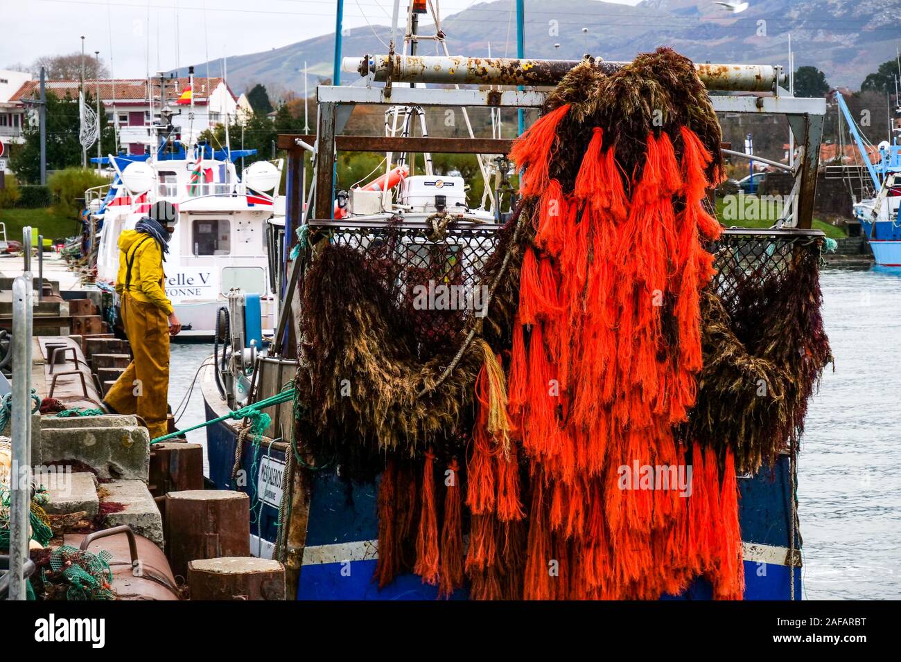 La descarga de algas rojas, puerto pesquero de Saint-Jean de Luz, Pirineos Atlánticos, Francia Foto de stock