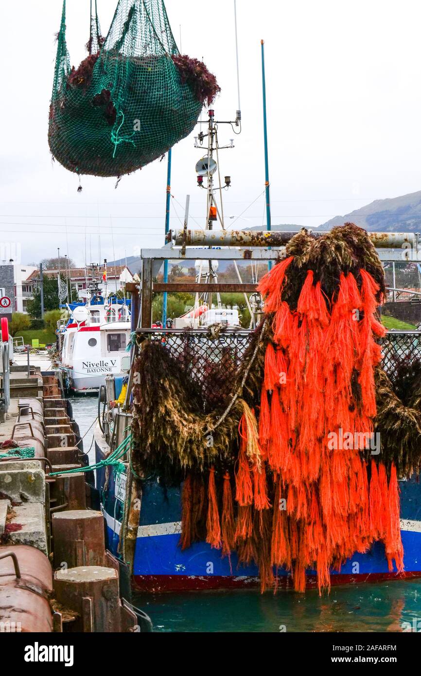 La descarga de algas rojas, puerto pesquero de Saint-Jean de Luz, Pirineos Atlánticos, Francia Foto de stock