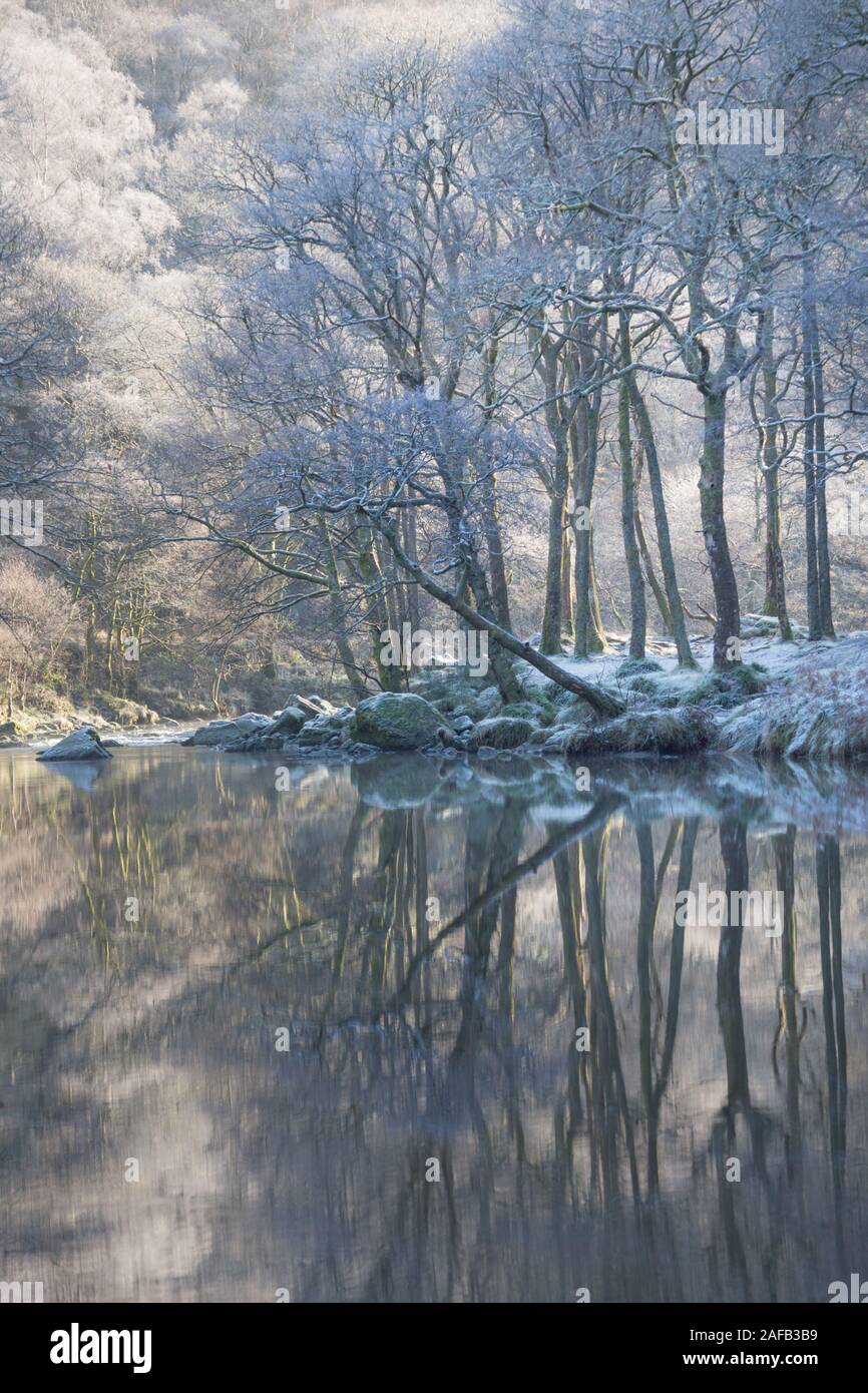Reflexiones de árboles en el río Derwent con helada hoar surcado de árboles en un día de invierno en Borrowdale, Lake District, Cumbria, Inglaterra. Foto de stock
