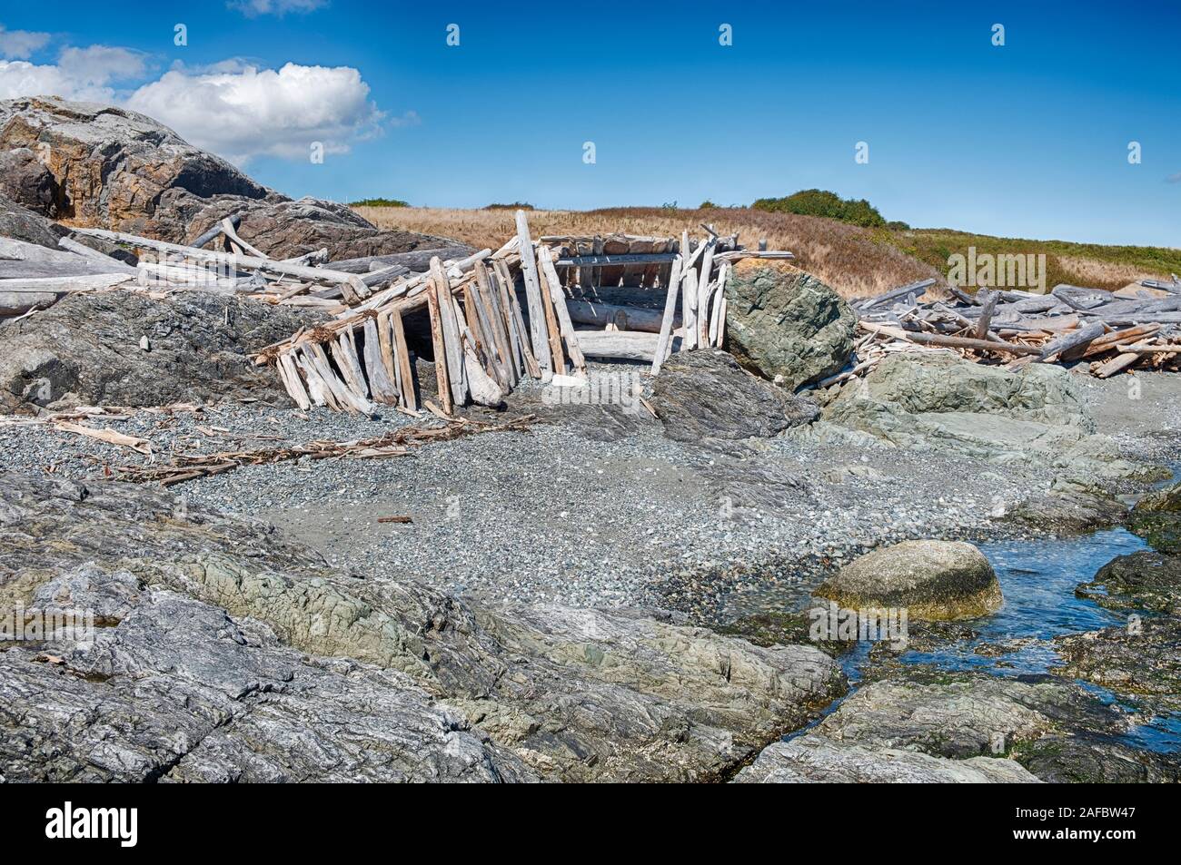 Piezas de driftwood se han tirado a inclinarse contra las rocas para formar grandes refugios en la playa cerca de American Camp en la Isla San Juan. Foto de stock