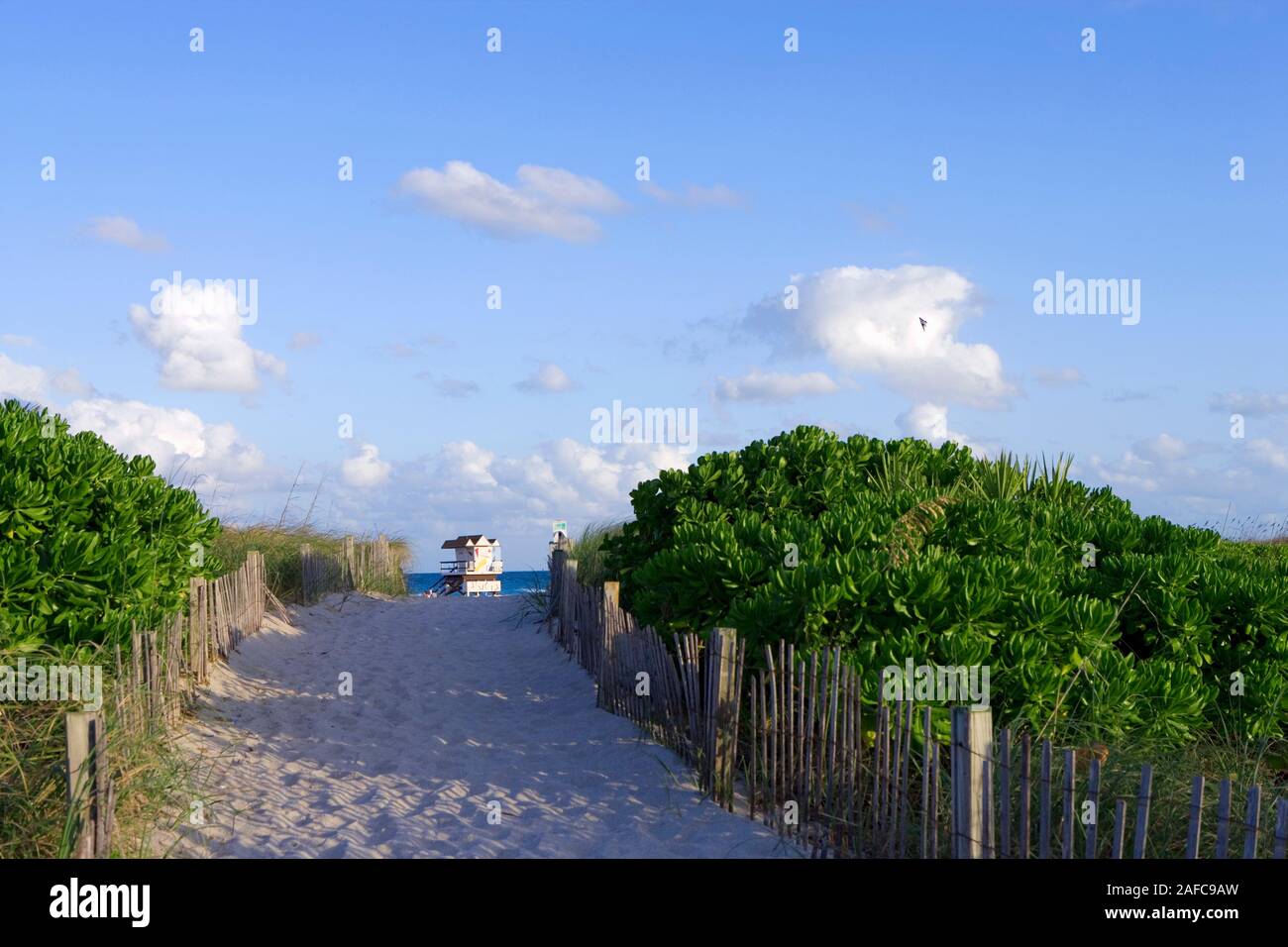 Camino a la torre de vigilante de la playa en Miami Beach, Florida, EE.UU. Foto de stock