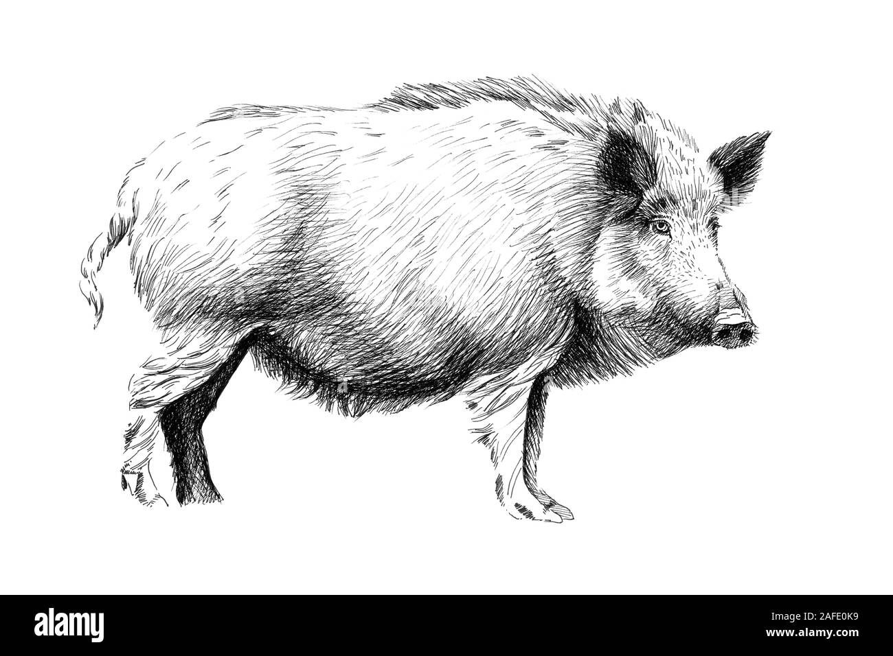eficacia-edici-n-interpretativo-dibujo-lapiz-jabal-plausible-esconder