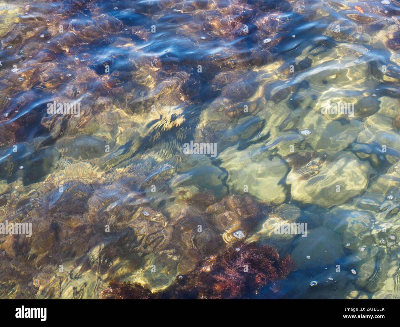 Las algas y piedra, bajo el agua de mar. Tuapse, el Mar Negro, el Cáucaso Foto de stock