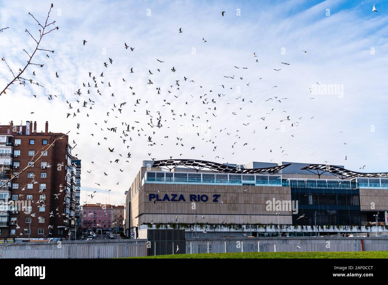 Madrid, España - Diciembre 9, 2019: la bandada de pájaros en la Plaza Rio shopping mall, en el área de Río de Madrid. Foto de stock