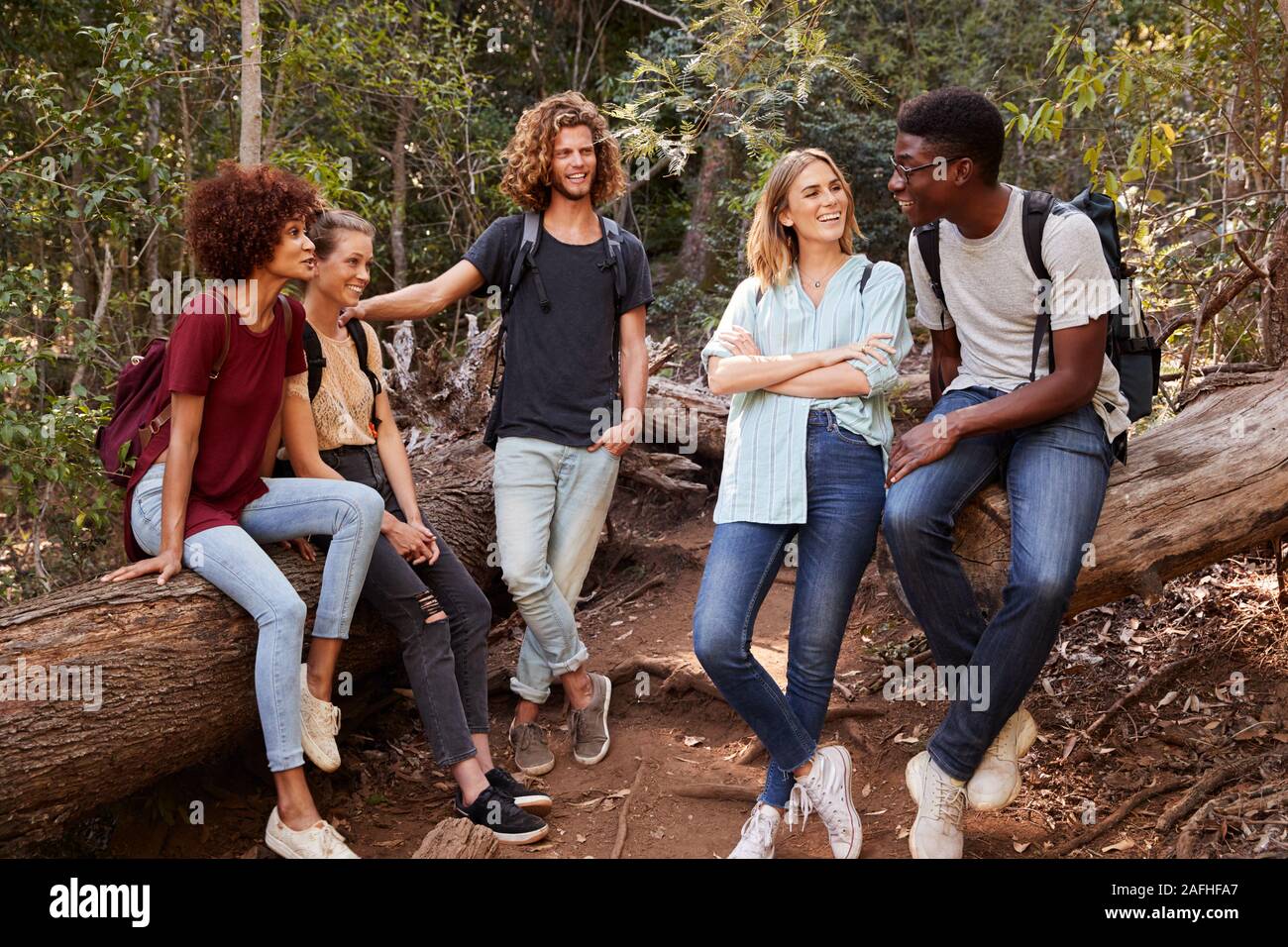 Jóvenes amigos adultos caminatas en el bosque descansando sobre un árbol caído y hablar, longitud completa Foto de stock