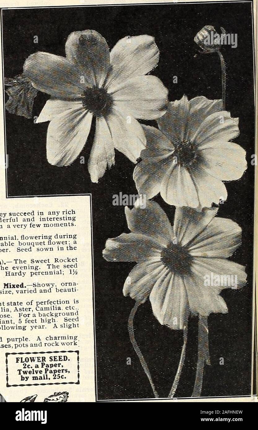 1818 1904 Fotos E Imagenes De Stock Alamy