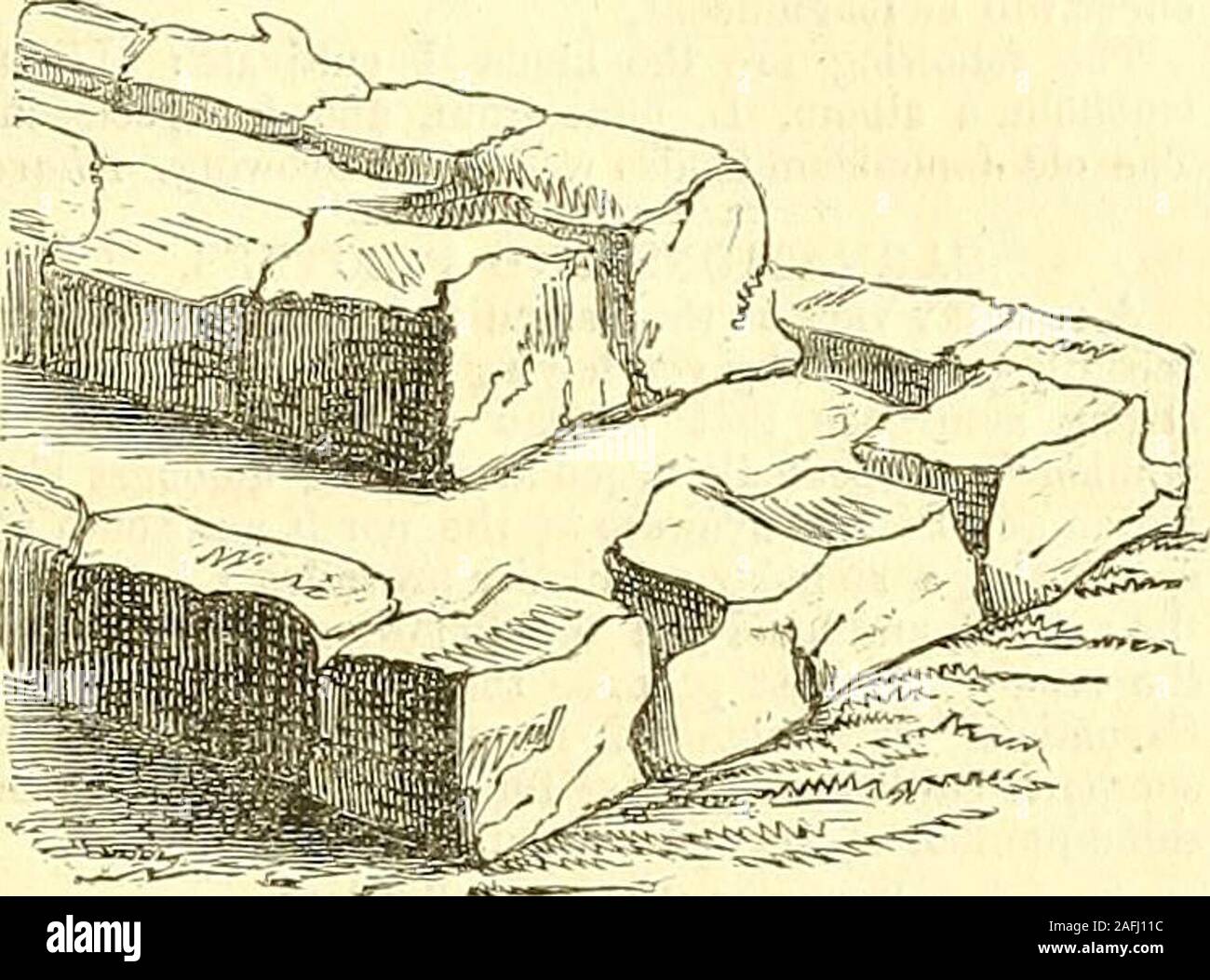 . Los jardineros' Chronicle y Gaceta agrícola. ción, Boule de Neige, Anacreon,Bufifon, Daubenton, sátiro, Romulus, Boudinots Bajeans,Celestina, Fanny, Justine, y Madame de Gournay; 12 Para13s., o 24 por 21s. Fucsias.-Smiths Kossuth, Orion, Reina de Mayo, Tur.Iters Sir J. Falstaff, Kendalls Dr. Gi-osse, novedad, GlasscocksMrs. W. Taylor, belleza de Stortford, Gregorys Rumleys Cerinium,Actfeon, belleza de Richmond, Yorkshire,Distinctus Eclipse, Pisos Mirabilis único, Multiplexado, Duplex, Ignea,striata, Miellez, Duchesse de Burdeos, Elisa, GeneralChangarnier Miellez, General Oudinot, Conclus Foto de stock