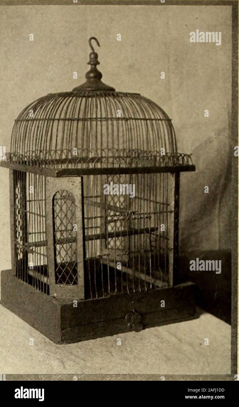 American Homes y jardines. English Skylark jaula. Un alemán bird cage en  América, pero en muchos orientalcountries así como en ciertas partes  ofEurope están determinadas en las sectas, el canto de