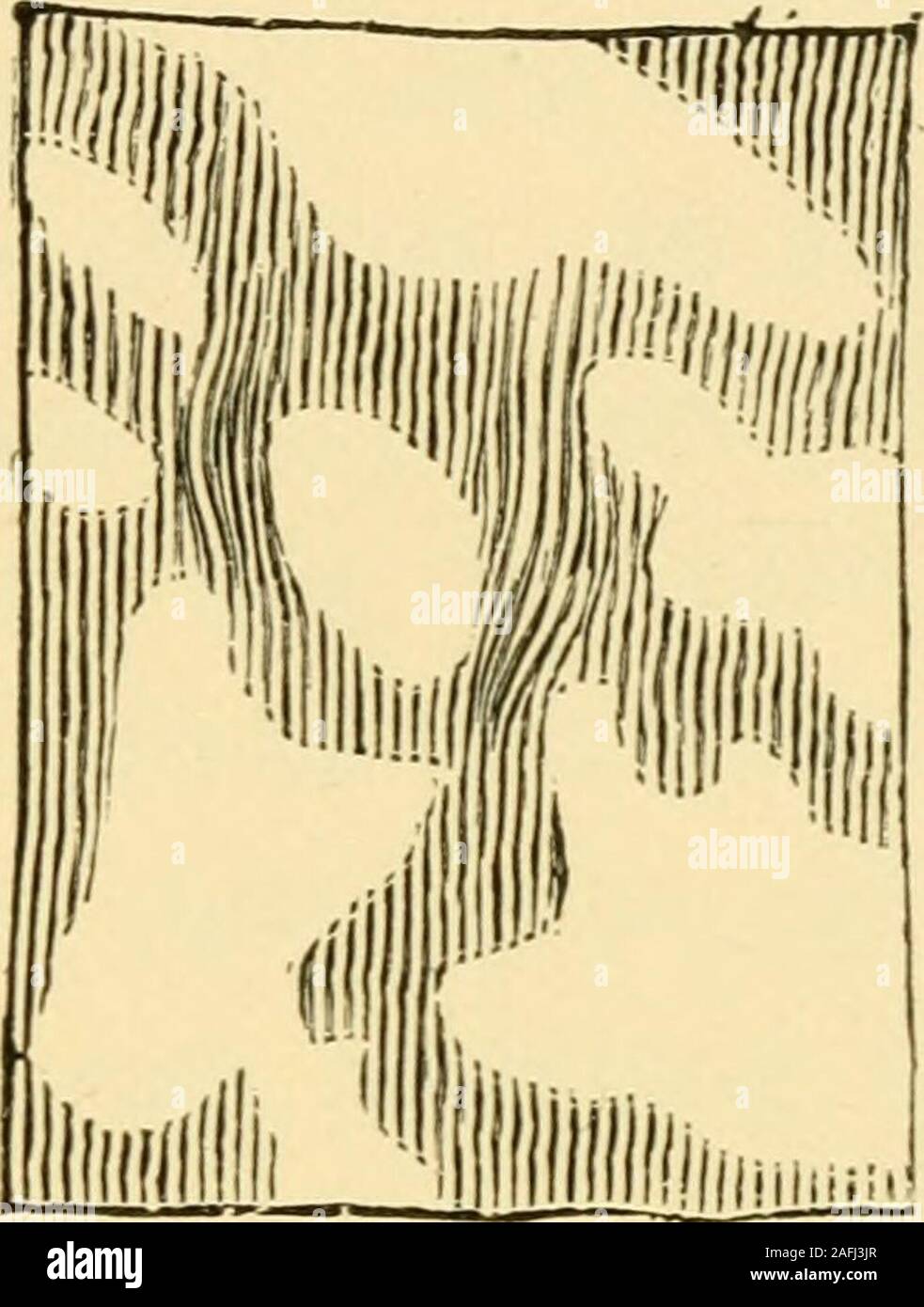 . Reliquias de vida primitivo, el comienzo de la vida en el amanecer del tiempo geológico. Fig. 52.-Acervuline variedad de Eozoon, Cote Saint Pierre. (A) de forma general, la mitad de tamaño natural. (3) Parte del interior celular, magnificada, mostrando el curso de los tubuli. Foto de stock