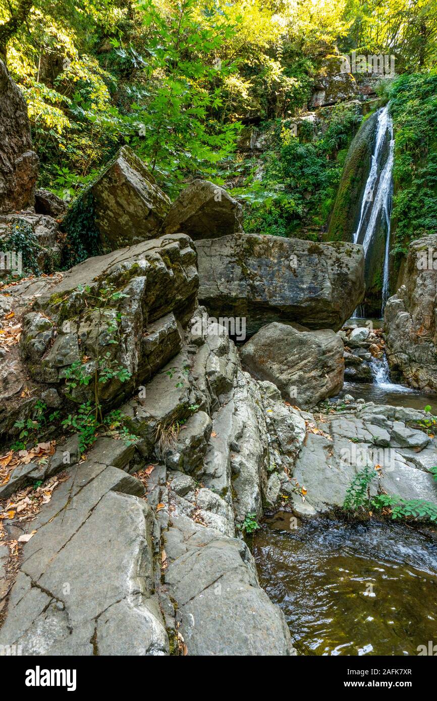 Cascada de agua y rocas en el fondo de los árboles verticalmente en Grecia Foto de stock