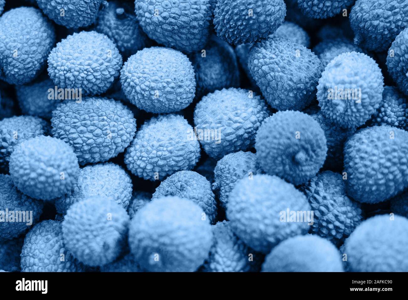 Fruta azul fotografías e imágenes de alta resolución - Alamy