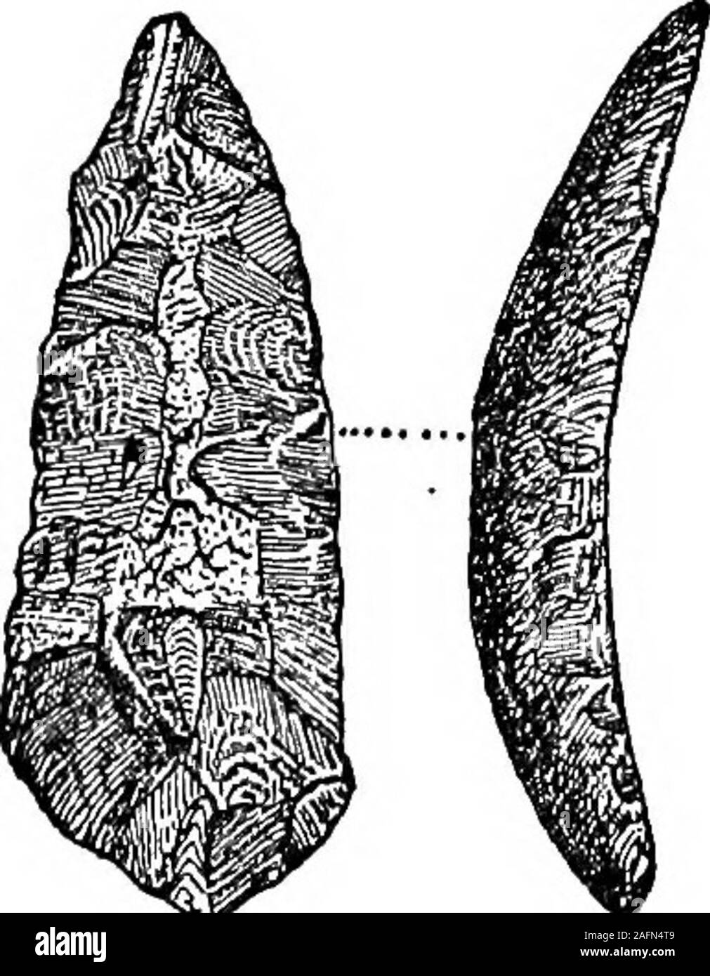 . Archaeologia Nova en Cesarea. El antecesor de los iroqueses y