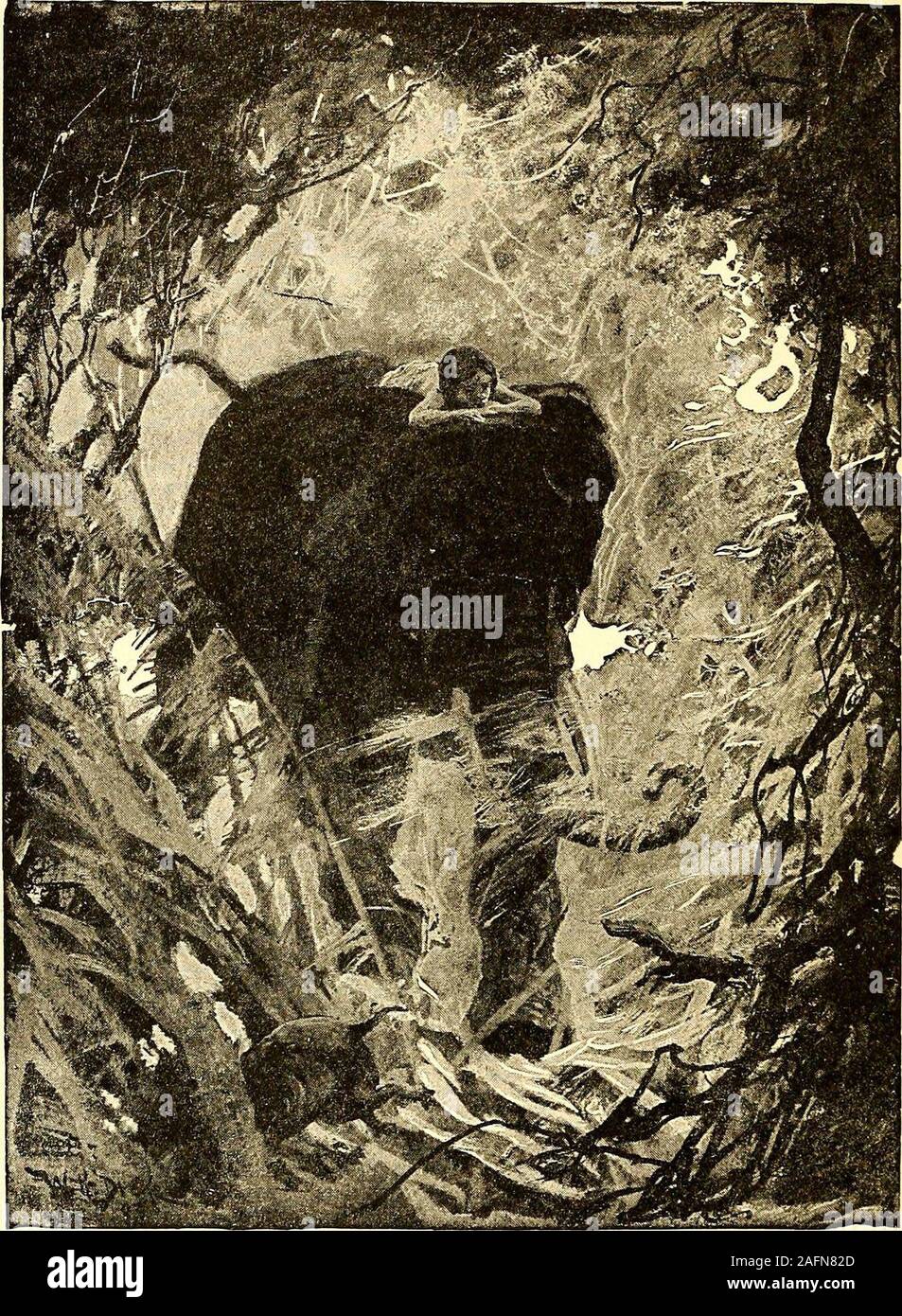 Rudyard Kipling El Libro De La Selva Fotos e Imágenes de stock - Alamy