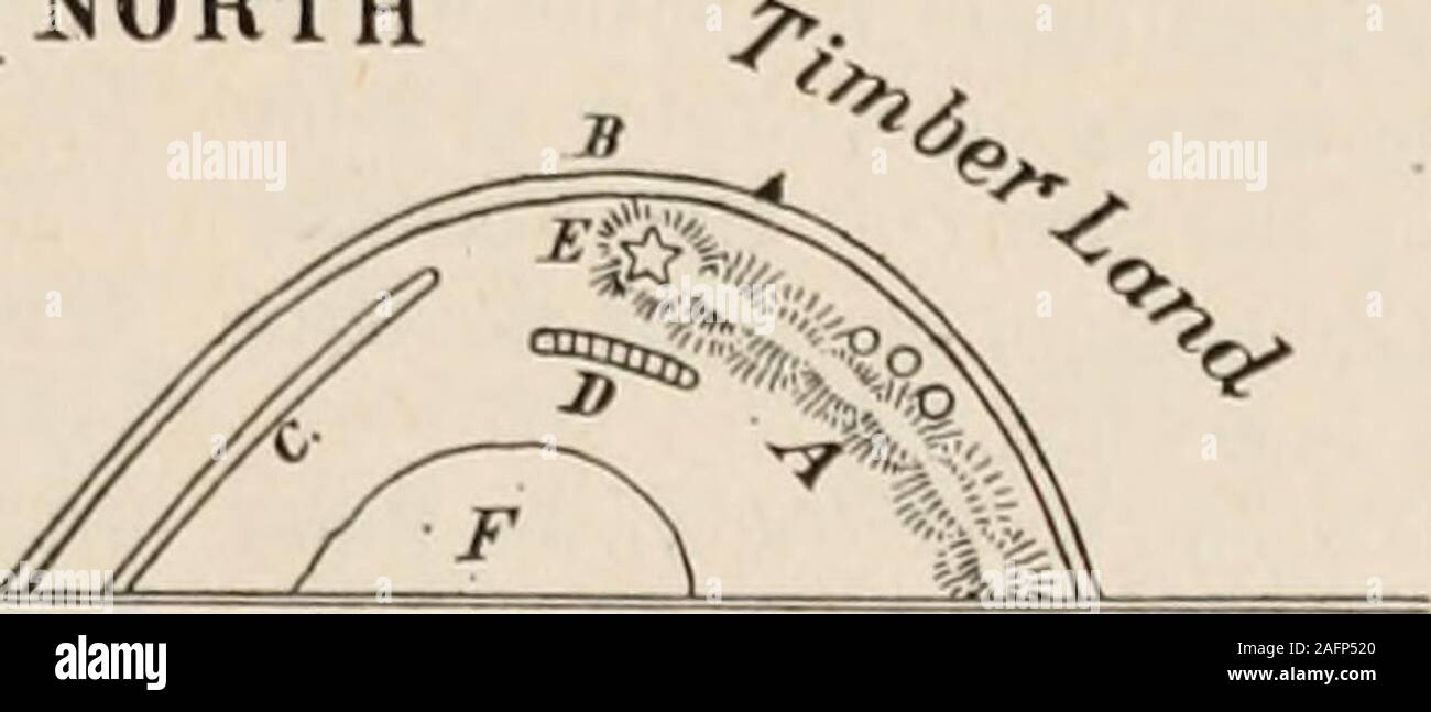 . Los anticuarios [serial]. lumbus y aroll de pergamino cubierto con la