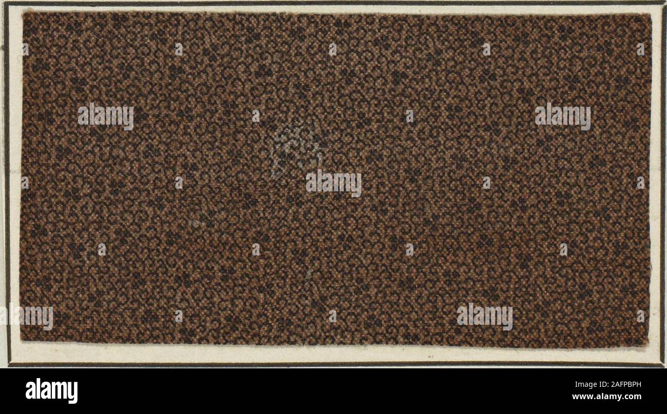 indigo bolsagage status