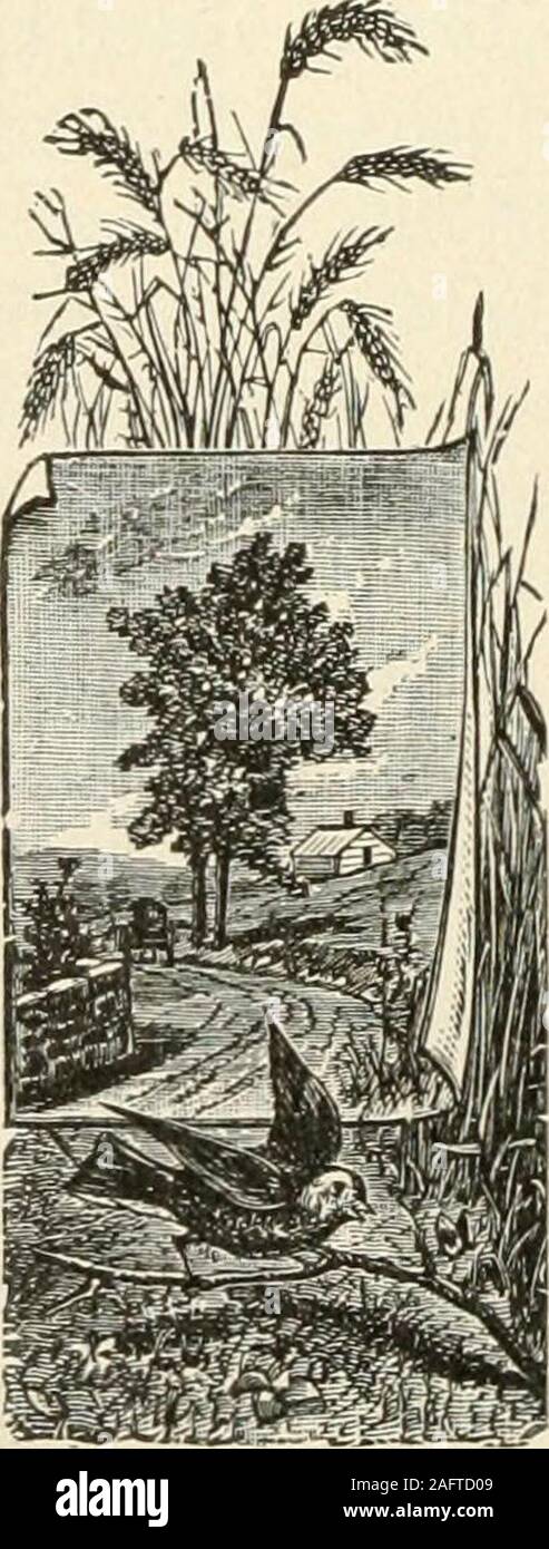 . La vida y los escritos de Rufus C. Burleson, que contiene una biografía del Dr. Burleson por Harry Haynes; funeral ocasión, con sermones, etc; seleccionado 'capilla'; el Dr. Burleson conversaciones como un predicador, con sermones seleccionados. Hacer cualquier pasos independientemente de cara al establecimiento ofmissions entre ellos. Él no era un cristiano, y hismind estaba absorto con sus propios problemas y los asuntos de la vida y Wkitings 290 del mundo. Después de su conversión, sin embargo, Sr. Burlesonsreport sobre este tema y sus resoluciones dirigidas Gen. alojam toneladas mente a este campo y a estas personas olvidadas, andinduced Foto de stock