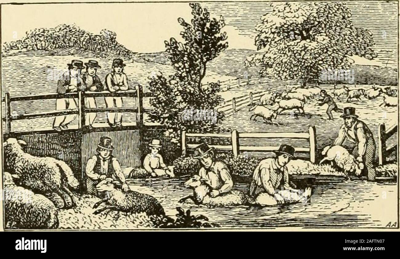 . La historia de Springfield, en Massachusetts, para los jóvenes; siendo también en alguna parte de la historia de otros pueblos y ciudades en el Condado de Hampden. del mayal thechopping asfamilar era como de theax como corte de madera forwinter thecords uso. Tiempo Anold farmertised decir si theman alwaystell thathe podría hacer thethreshing estaba trabajando por el día o por el trabajo. Si la antigua, parecía decir el mayal, por el día, por día, por la rel-?-día; si por el trabajo, la cantó con mayal alegremente, por el trabajo y por el trabajo y por el trabajo, trabajo, trabajo. Tal es la naturaleza hu-man que uno es apto para lograr más cuando él w Foto de stock