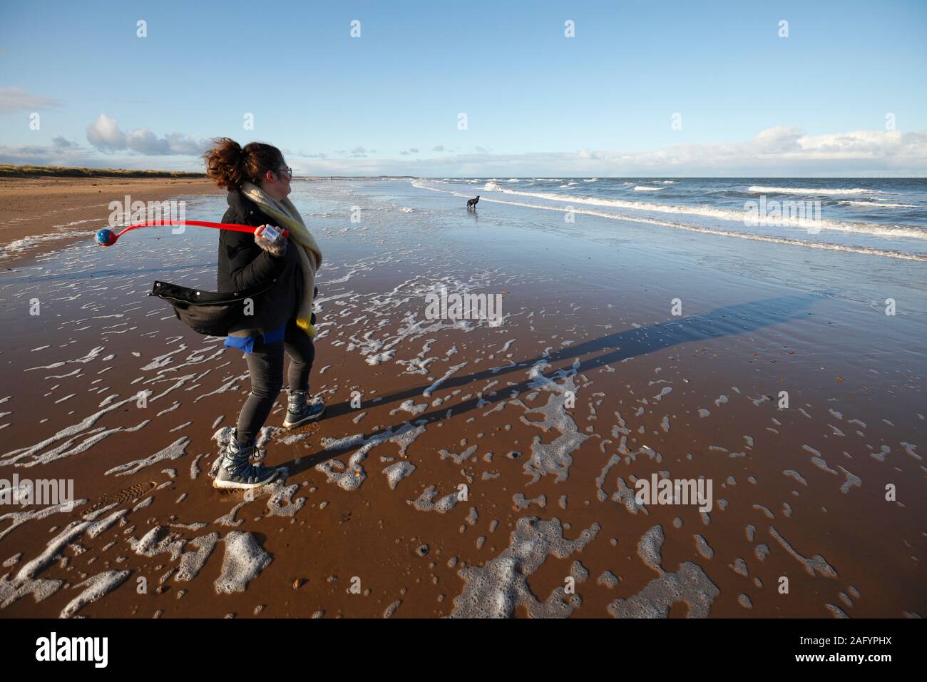 Mujer lanza pelota para un perro Labrador negro en la playa de Brancaster en Norfolk. Foto de stock