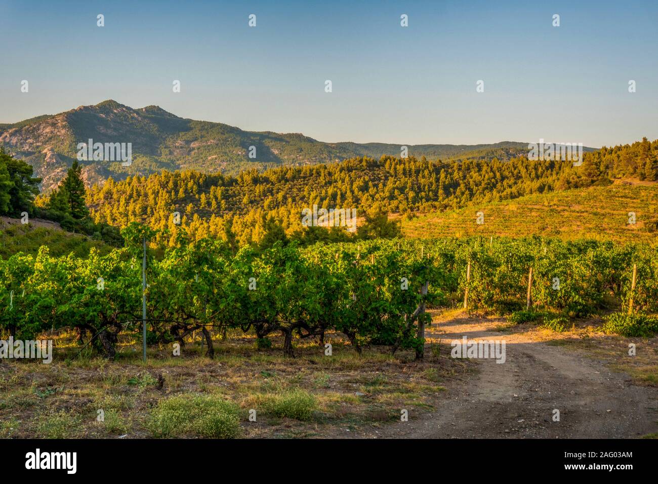 Giro de la carretera y árboles verdes en Grecia horizontal Foto de stock