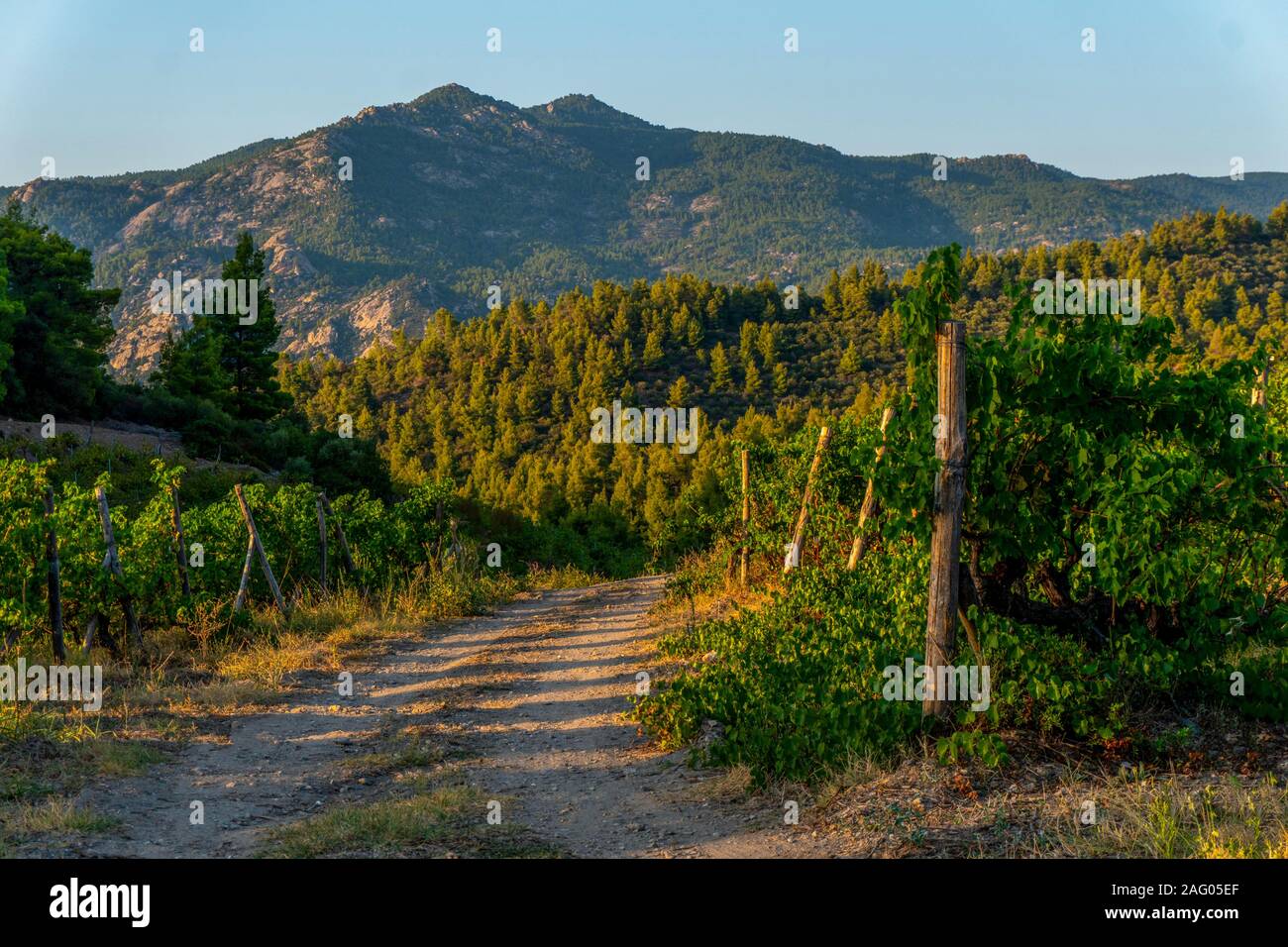 Carretera y montañas verdes en Grecia horizontal Foto de stock